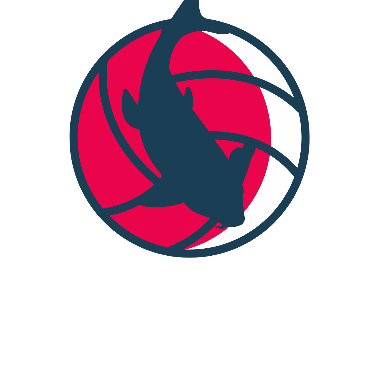 NYON NETBALL CLUB